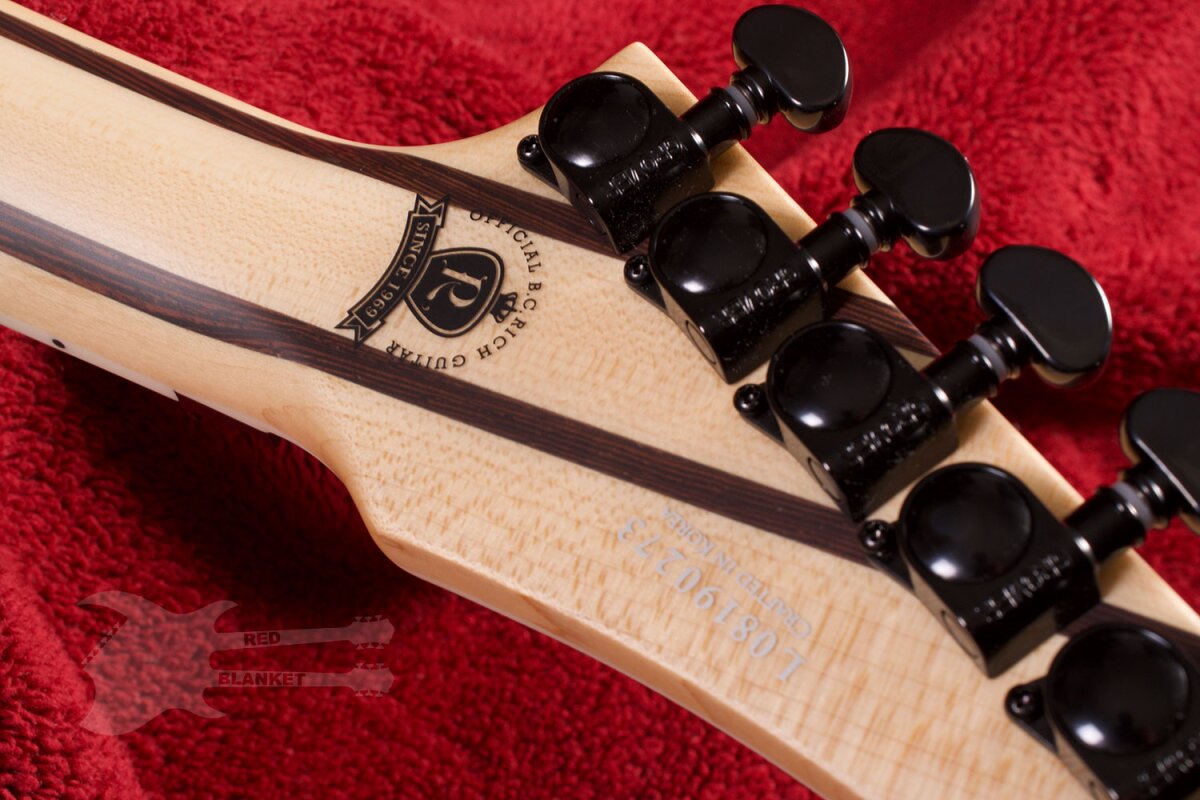 Shredzilla Prophecy Archtop with Floyd Rose Satin Black