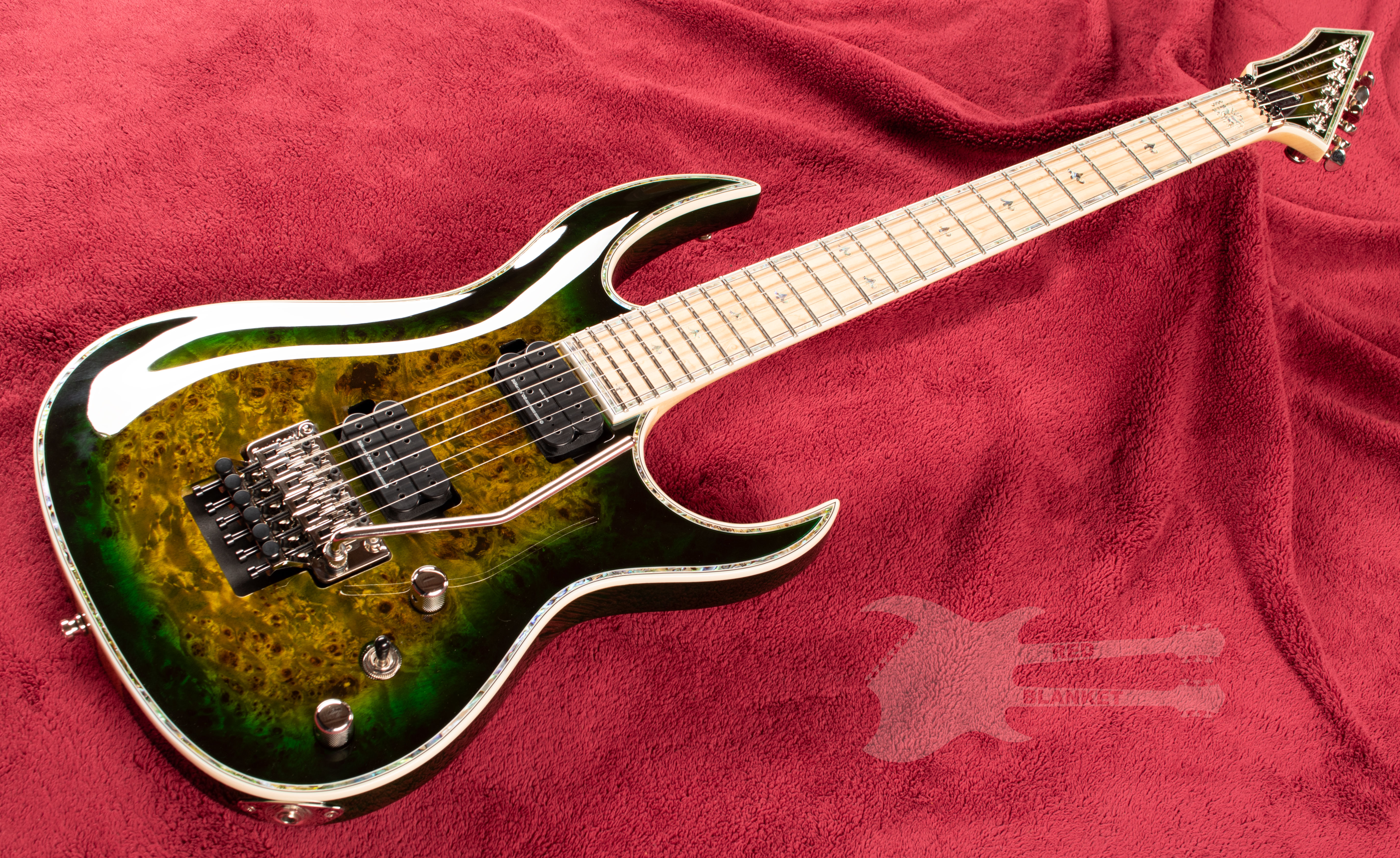 herozROCKSTEADY ROOTS ROCK セット 176枚 Shredzilla Z6 Prophecy Exotic with Floyd Rose Reptile Eye